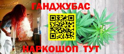 мдпв Татарск