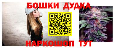 мдпв Татарск